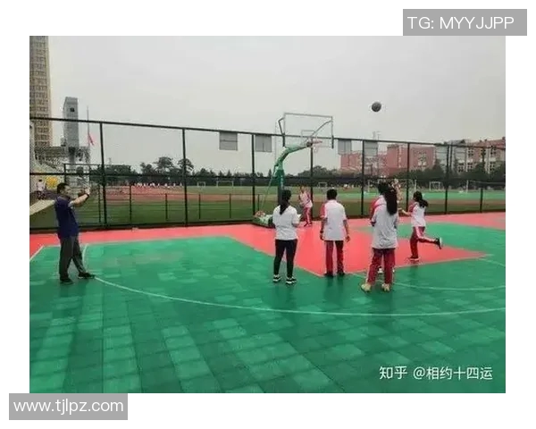 权威发布：2023年度排球各队实力状态全面解析与排名榜单