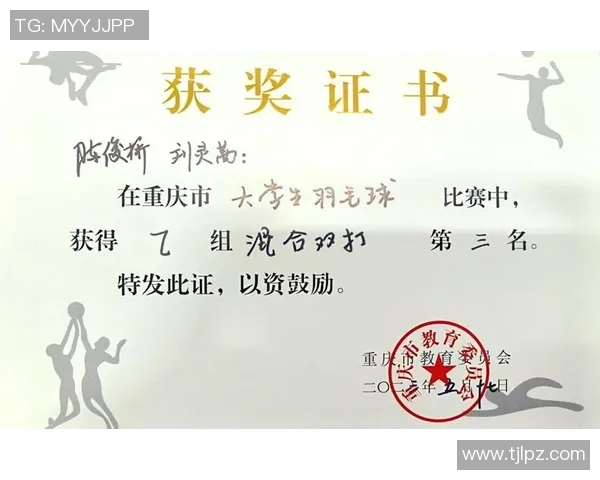 上海羽毛球队战术表现数据分析与比赛策略优化研究