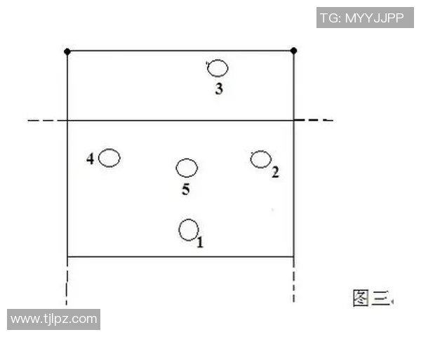 深圳排球队反击体系解析与战术创新探讨
