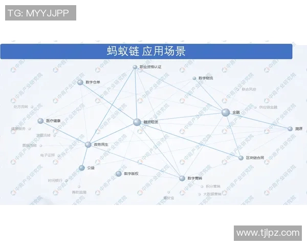 西安网球队运营全景解析：深度探讨其成功背后的策略与挑战