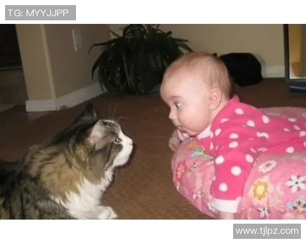 足球明星家庭中的宠物们:他们的生活与快乐瞬间揭秘 足球明星家庭中的宠物们:他们的生活与快乐瞬间揭秘